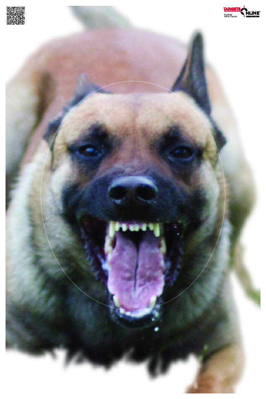 Dog Threat - Card Stock
